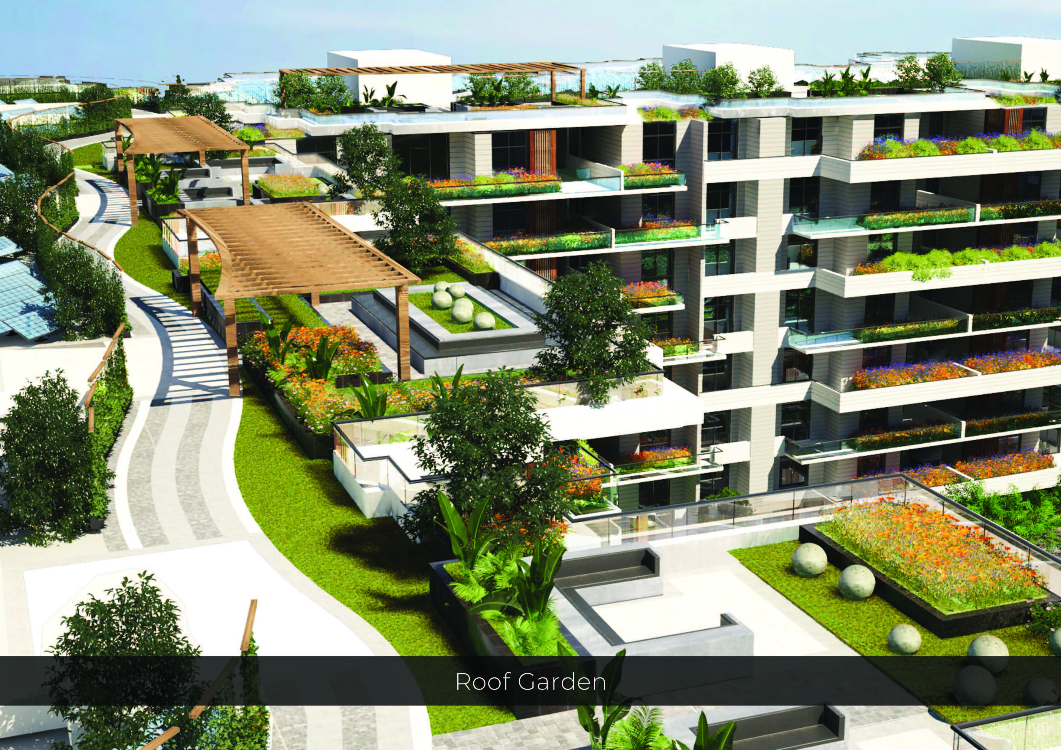 Duplex | Forsa Property