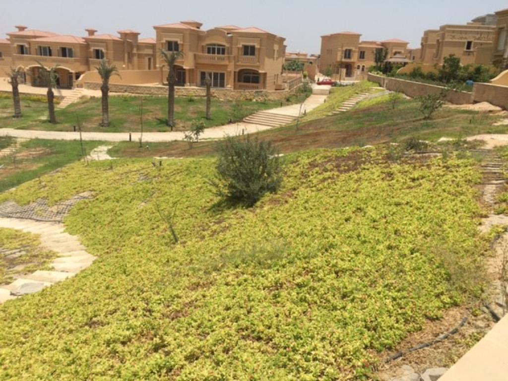 Twin House at Royal Meadows Sheikh Zayed | Forsa Property