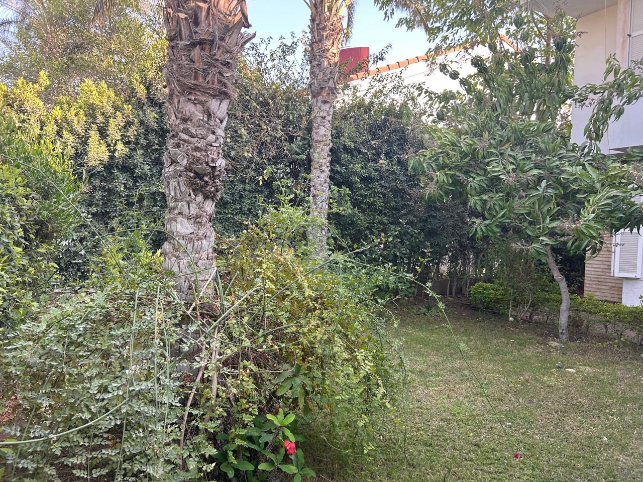 فيلا at الربوة | Forsa Property فيلا at الربوة | Forsa Property