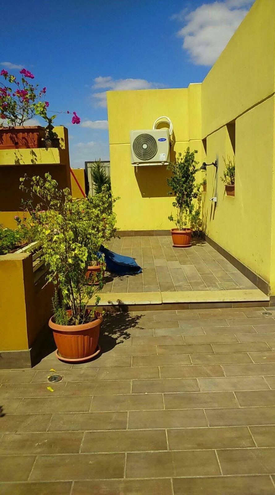 Penthouse at Jewar Sheikh Zayed | Forsa Property