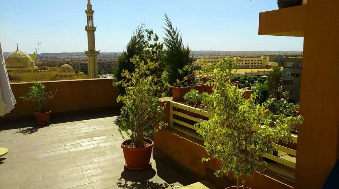 Penthouse at Jewar Sheikh Zayed | Forsa Property