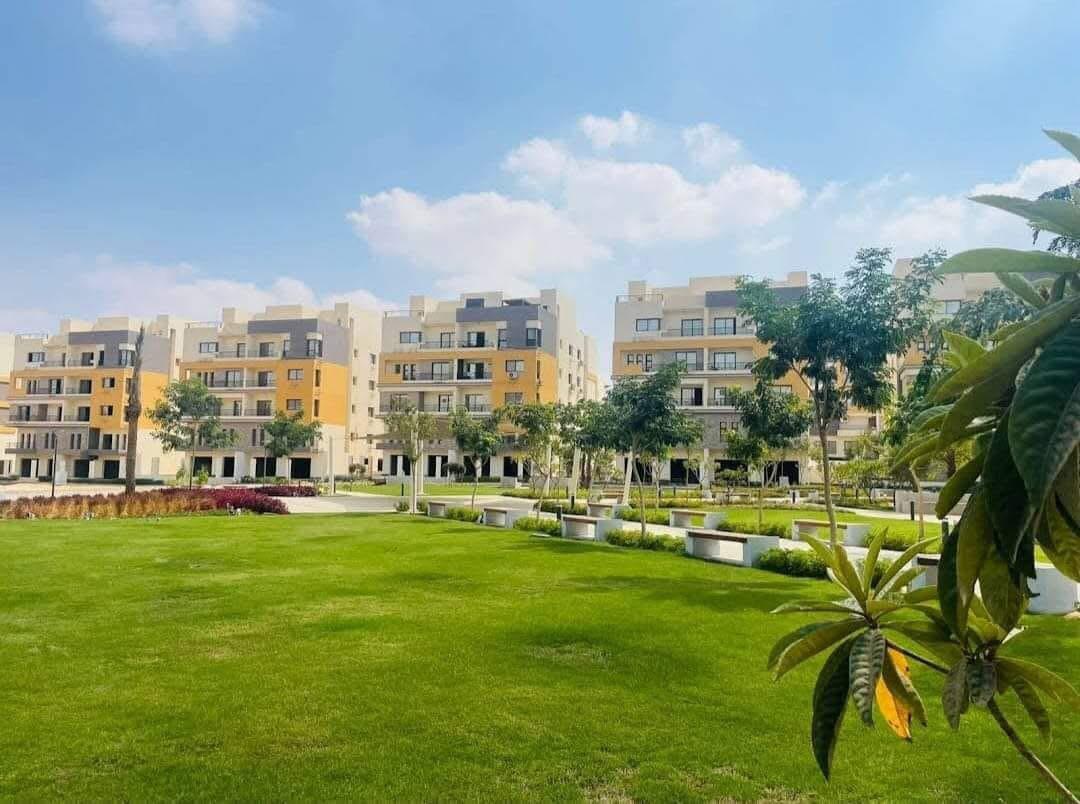 Penthouse at Tala | Forsa Property