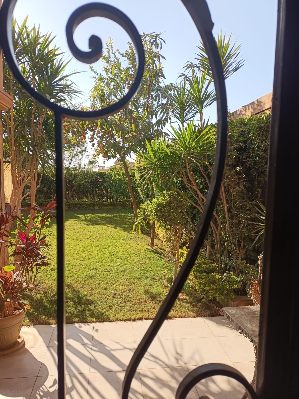 Townhouse at Royal Meadows Sheikh Zayed | Forsa Property