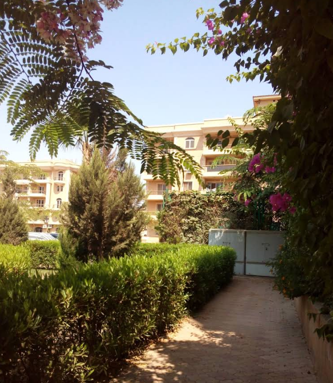 Apartment at Diar I | Forsa Property