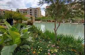 Apartment at Regents Park | Forsa Property Apartment at Regents Park | Forsa Property