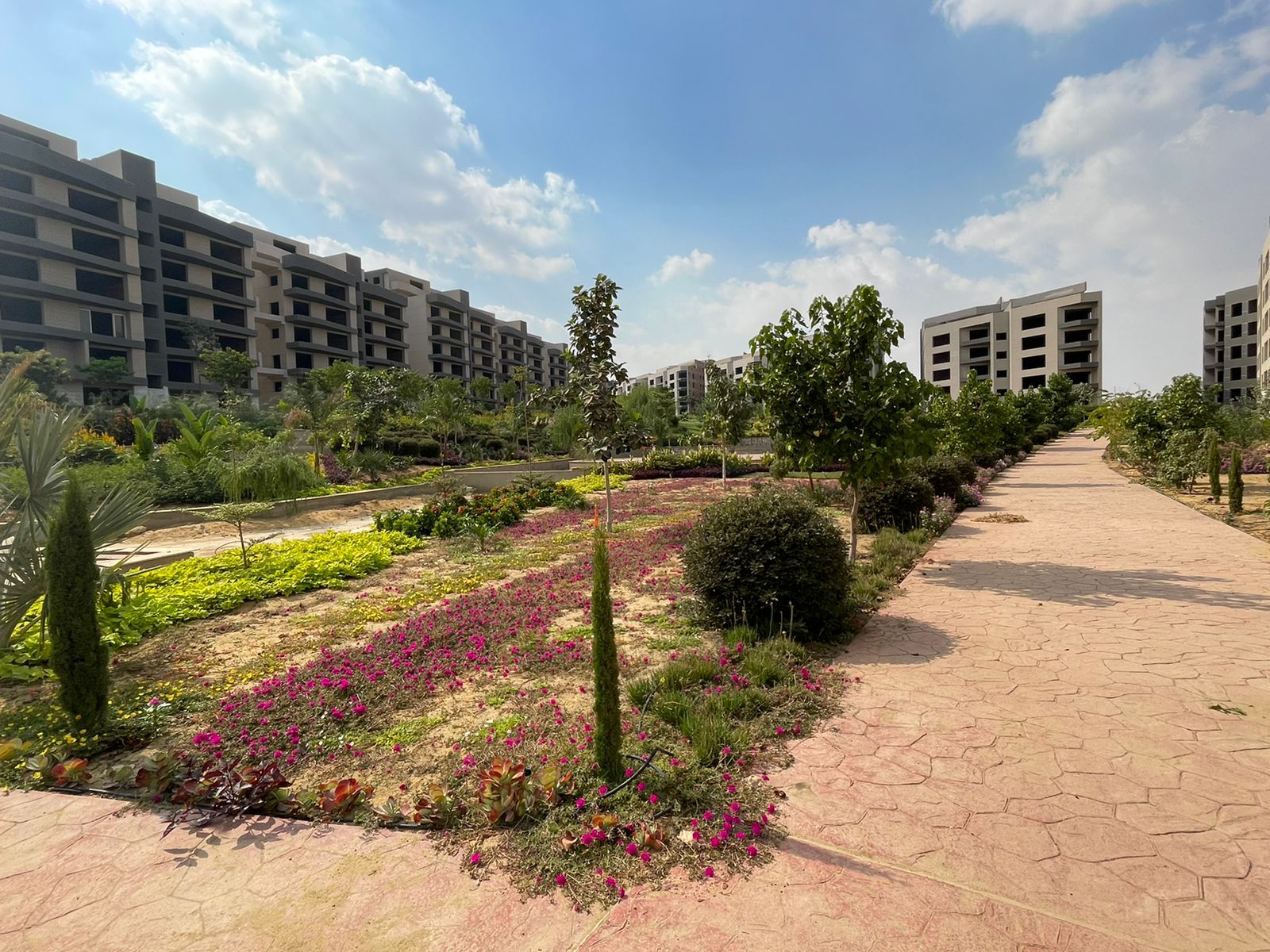 Apartment at Zizinia Al Mostakbal | Forsa Property