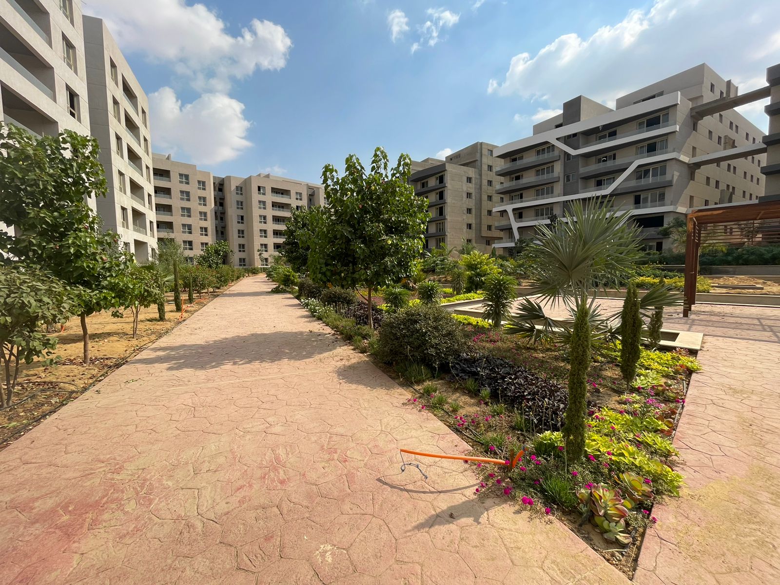 Apartment at Zizinia Al Mostakbal | Forsa Property