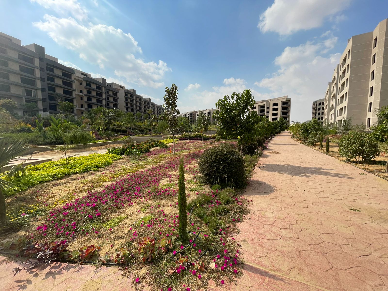 Apartment at Zizinia Al Mostakbal | Forsa Property