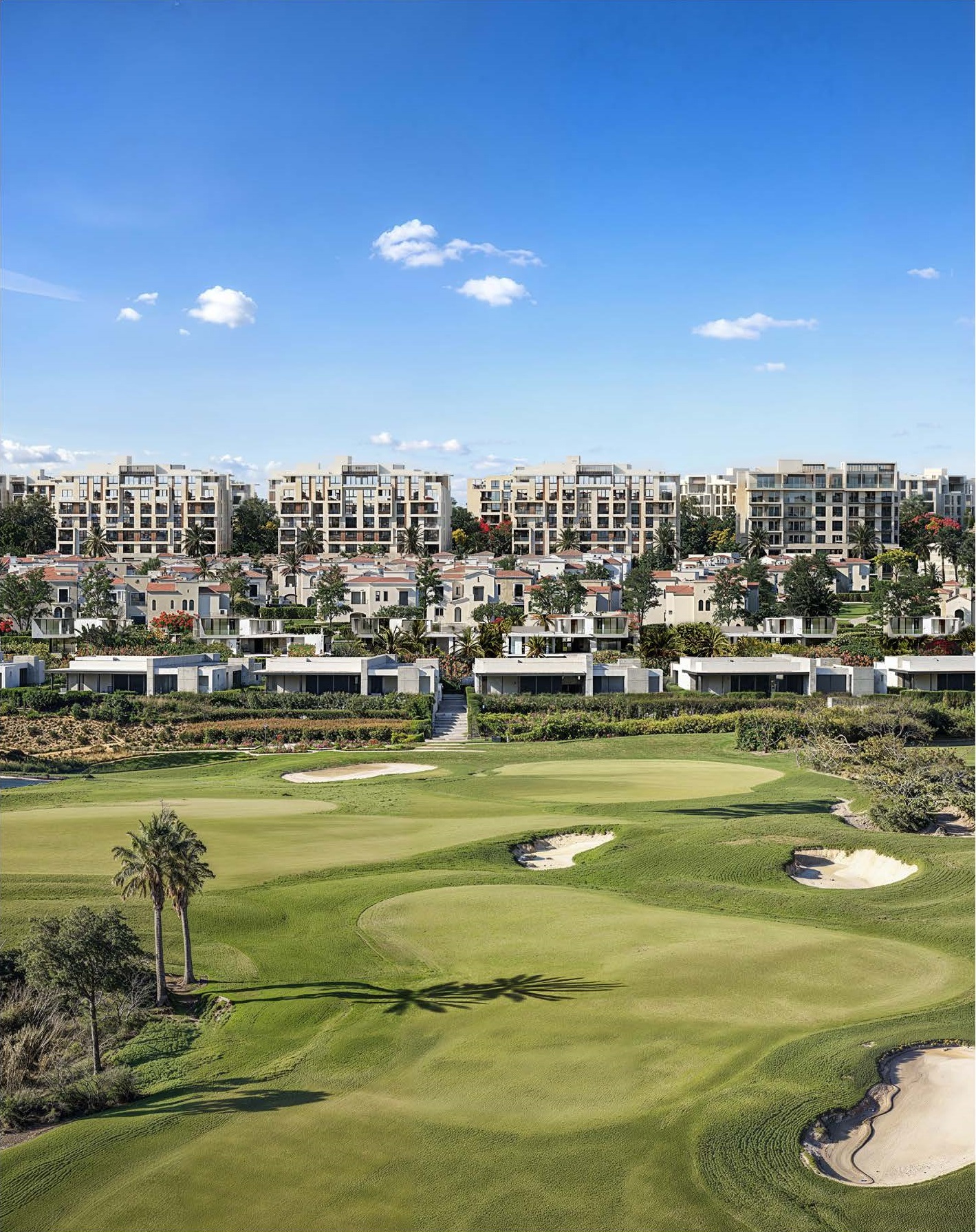 Apartment | Forsa Property