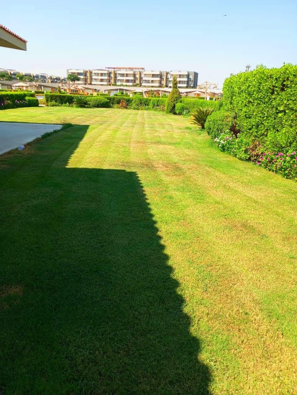 Twin House at Blumar El Dome | Forsa Property Twin House at Blumar El Dome | Forsa Property