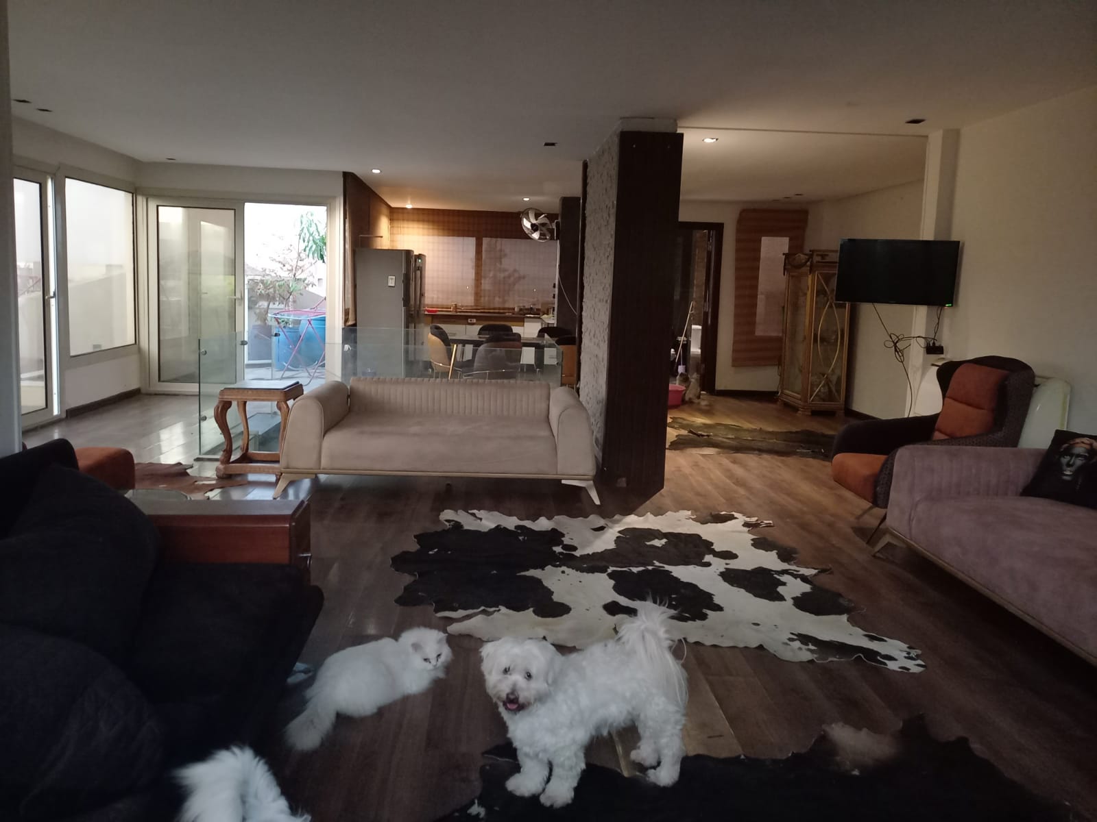 Duplex | Forsa Property