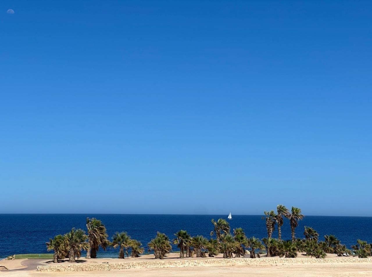 Apartment at Soma Breeze | Forsa Property