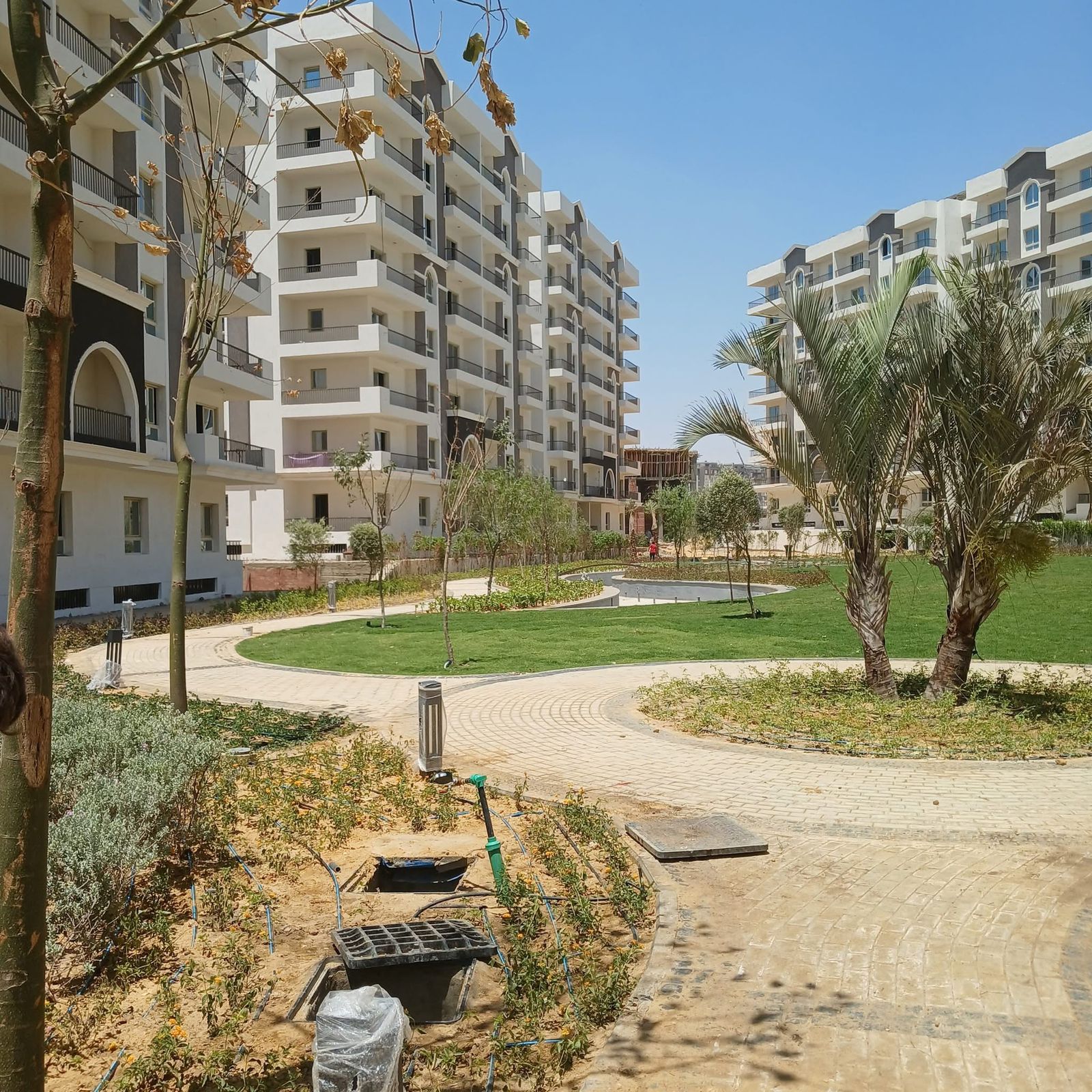 Apartment at Catalan | Forsa Property