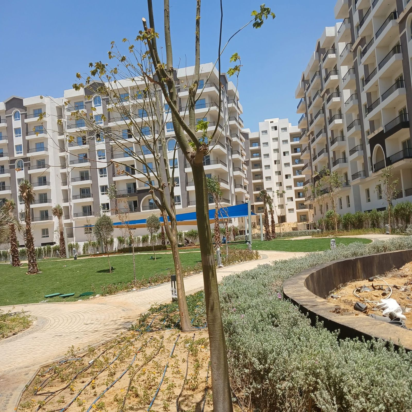 Apartment at Catalan | Forsa Property