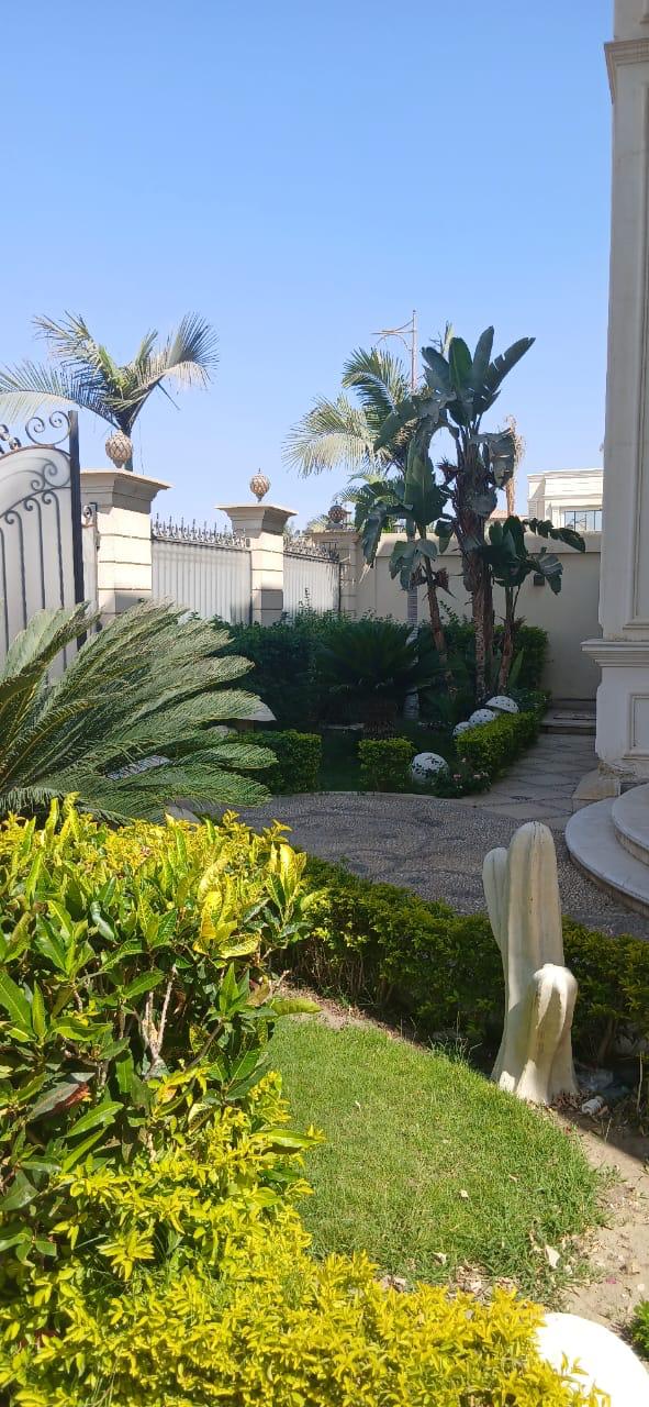 Villa at Royal City | Forsa Property