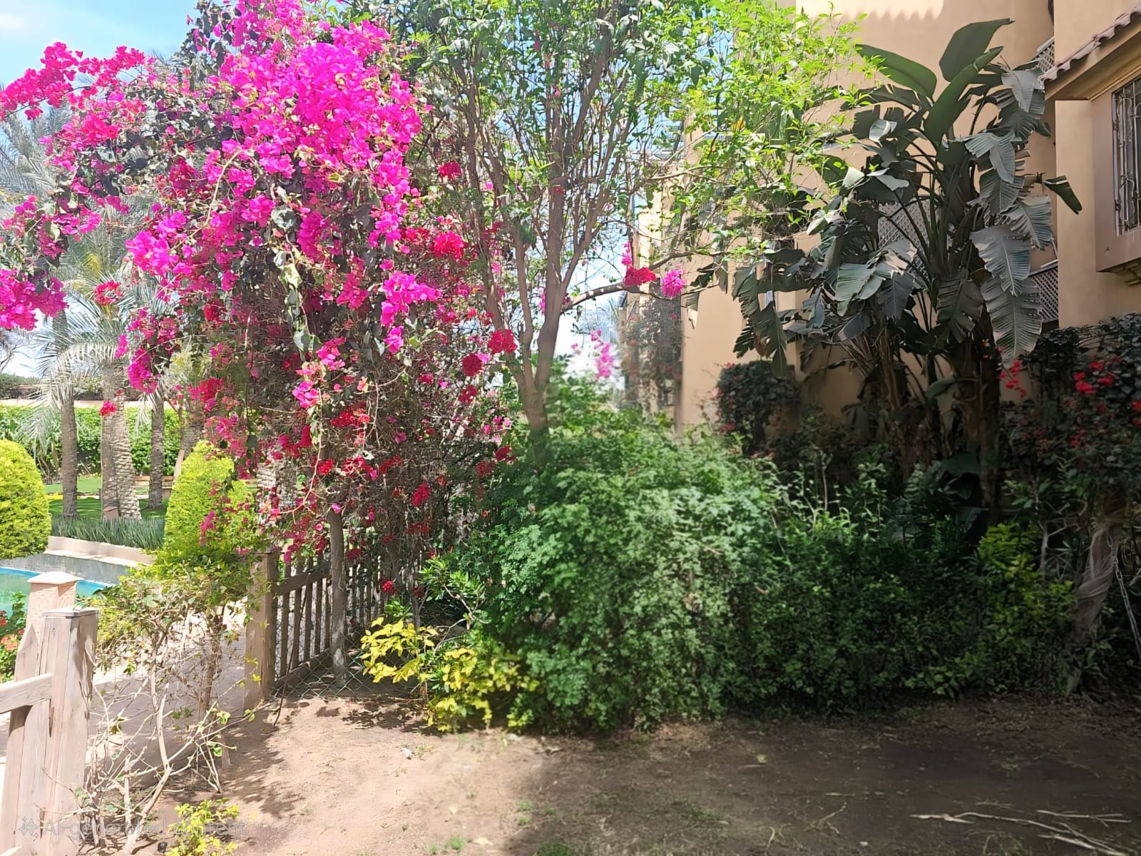 Apartment at City View | Forsa Property