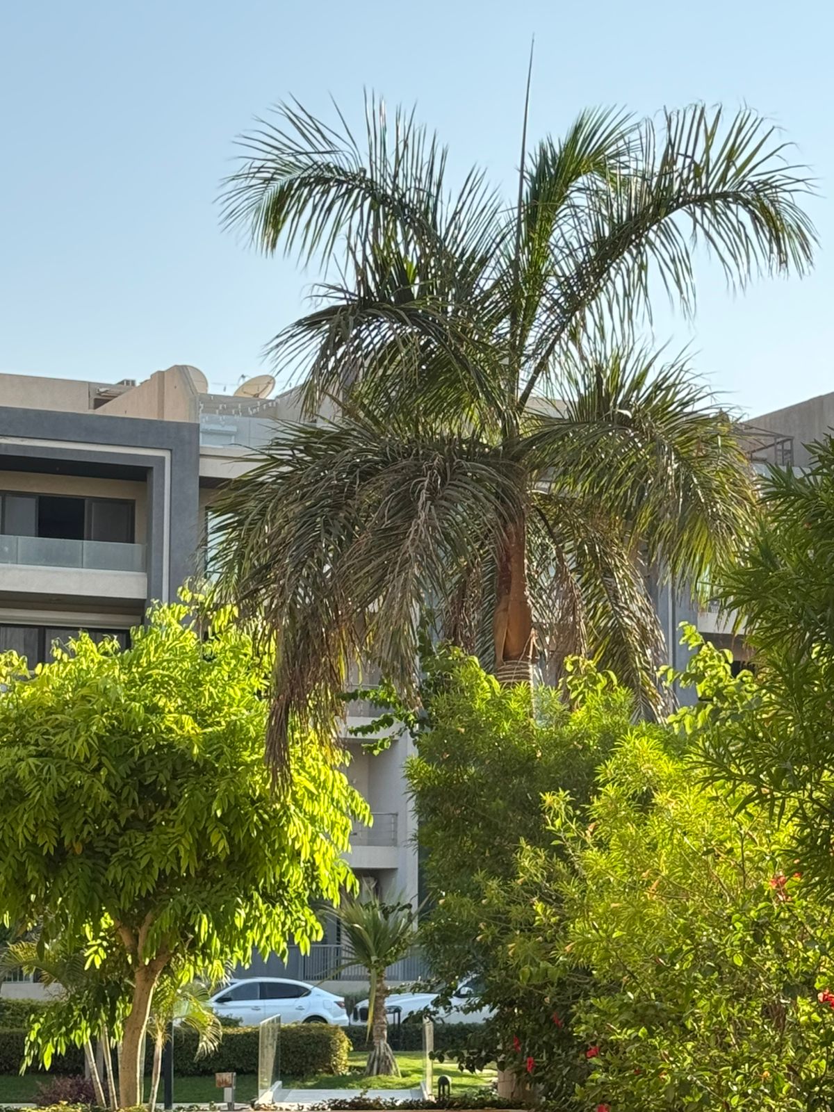 Apartment at Midtown New Cairo | Forsa Property