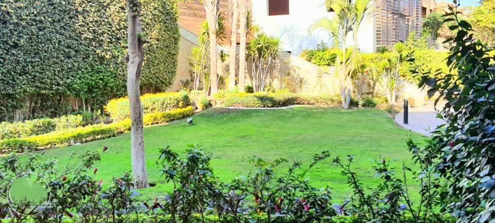 Apartment at Jewar Sheikh Zayed | Forsa Property