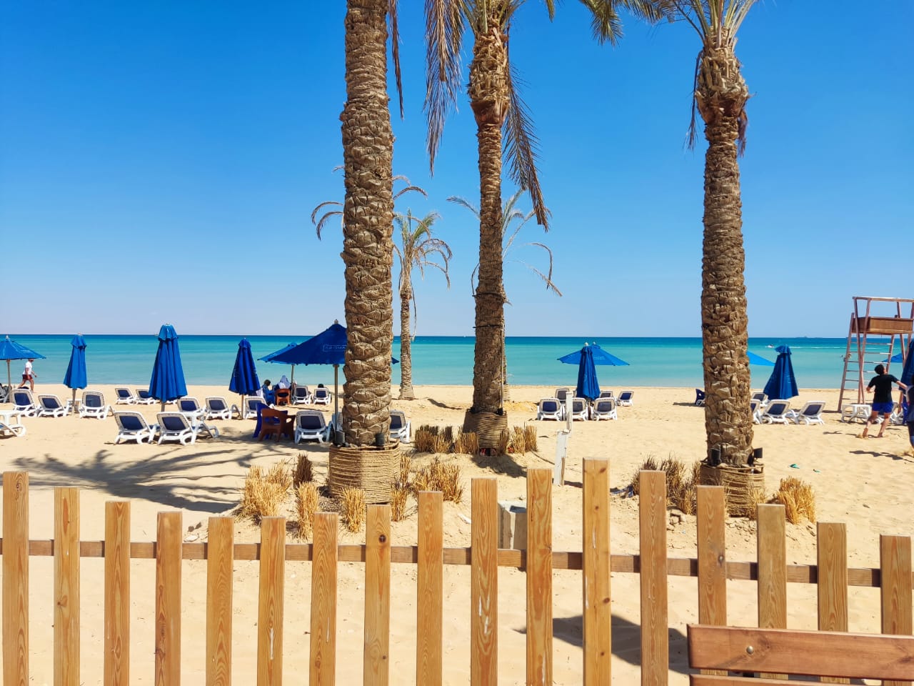 Chalet at Aroma | Forsa Property