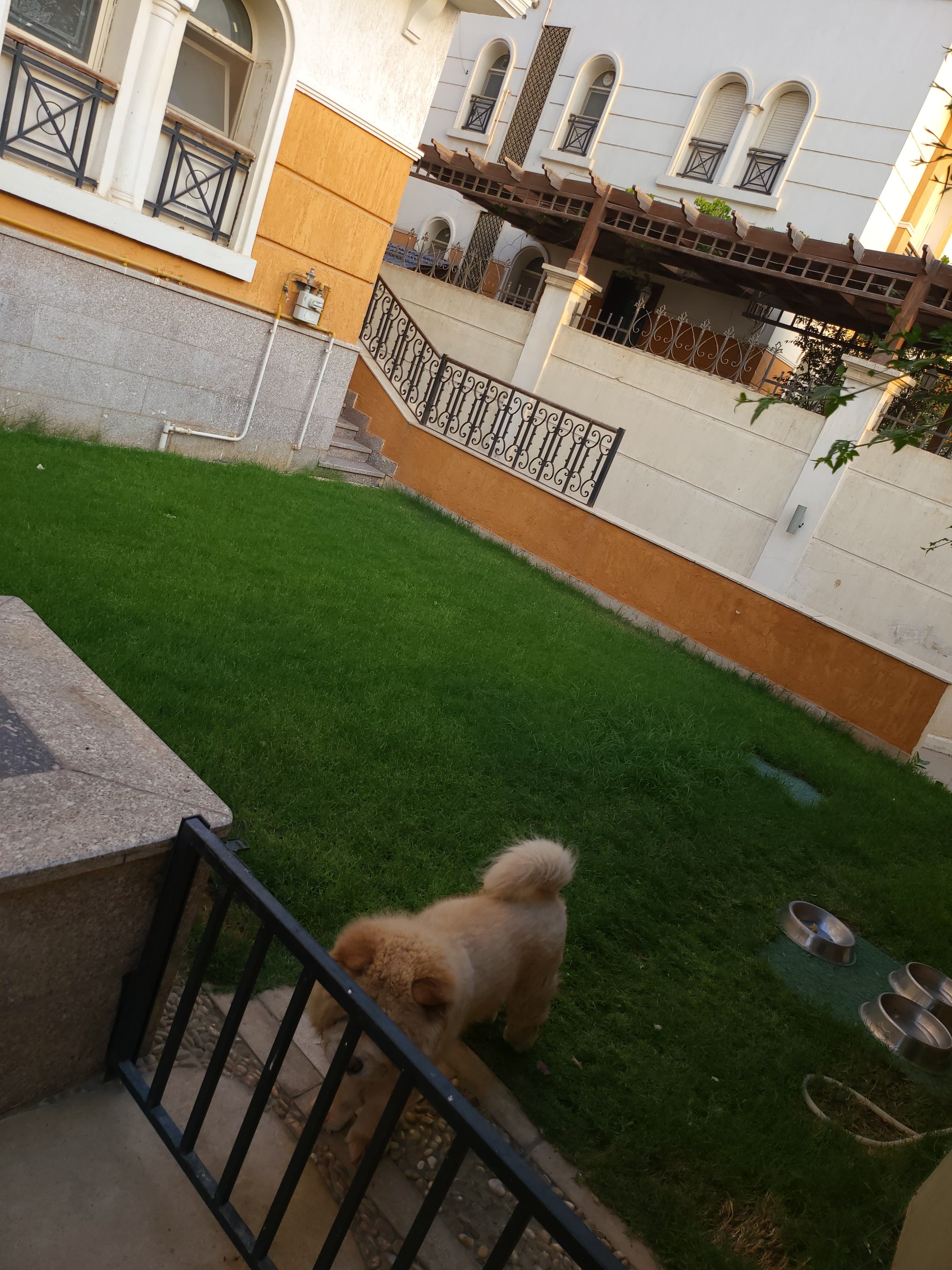 Villa at Dyar Mokhabarat | Forsa Property Villa at Dyar Mokhabarat | Forsa Property