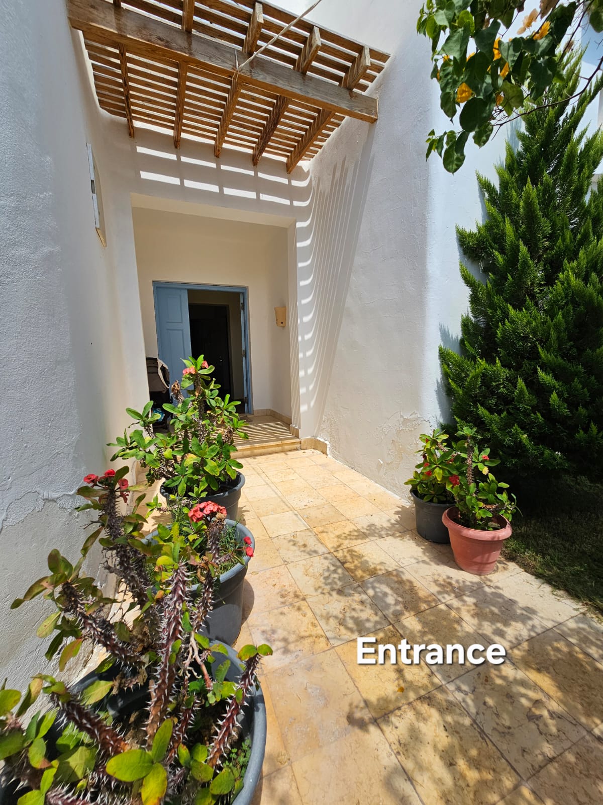 Chalet at Bianchi | Forsa Property