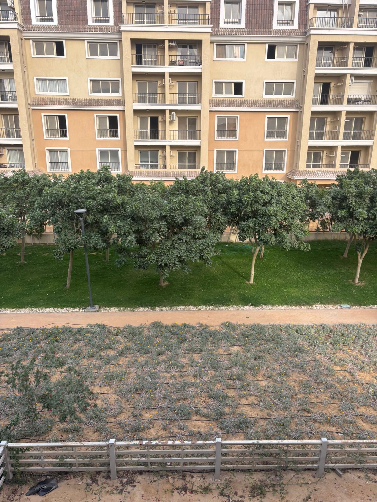 Apartment | Forsa Property