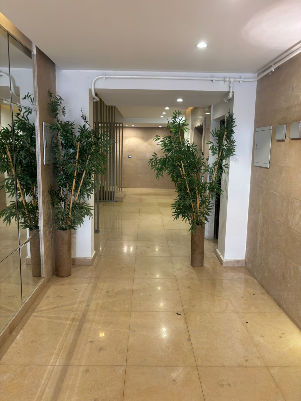 Apartment | Forsa Property