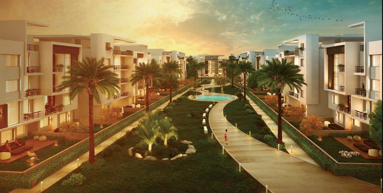 Apartment | Forsa Property