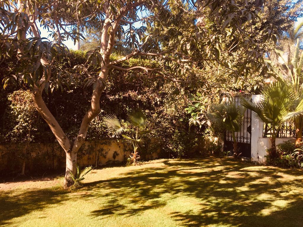 Villa at Zayed 2000 | Forsa Property