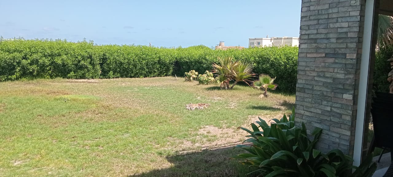 Villa | Forsa Property