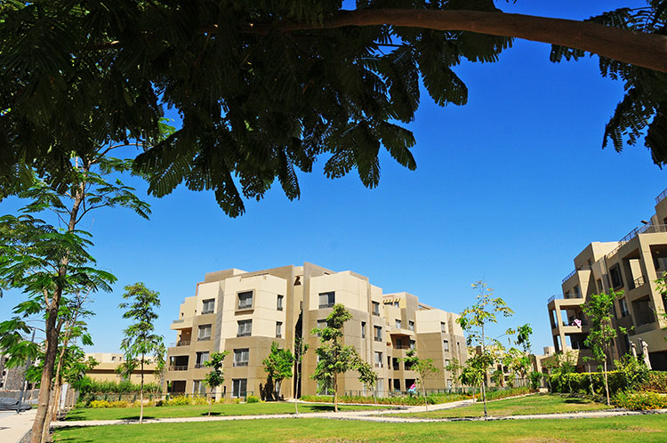 Apartment | Forsa Property