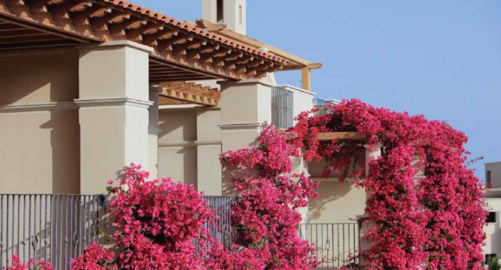 Chalet at Veranda  Sahl Hasheesh | Forsa Property