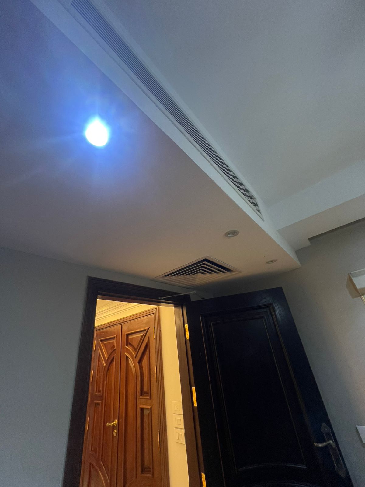 Twin House at Leena Springs | Forsa Property