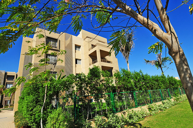 Apartment | Forsa Property