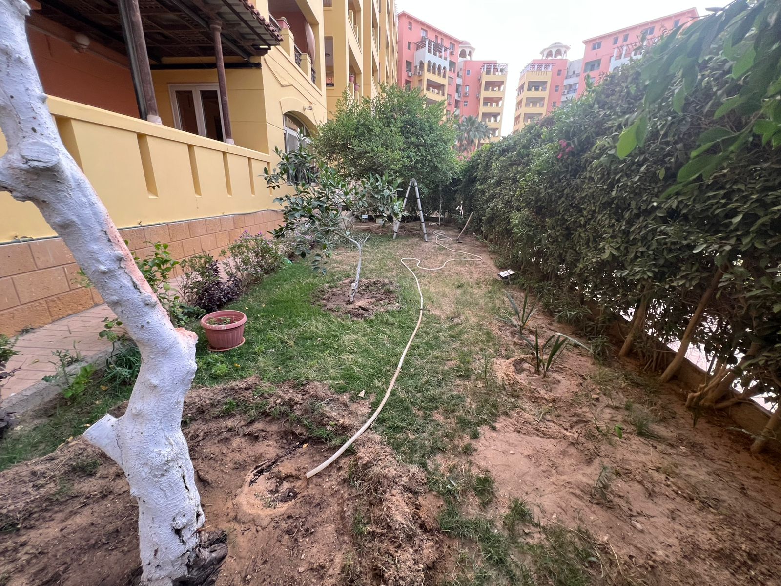 Apartment at Dream Land | Forsa Property