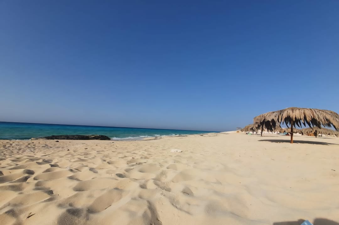 Chalet at Bianchi | Forsa Property