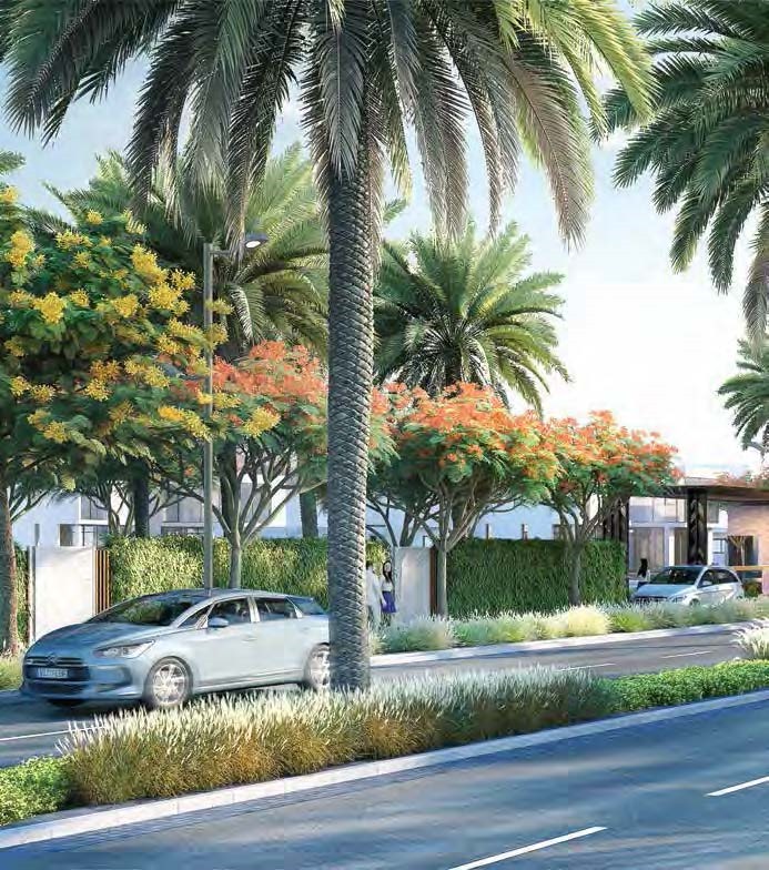 Penthouse at Swanlake North Coast | Forsa Property