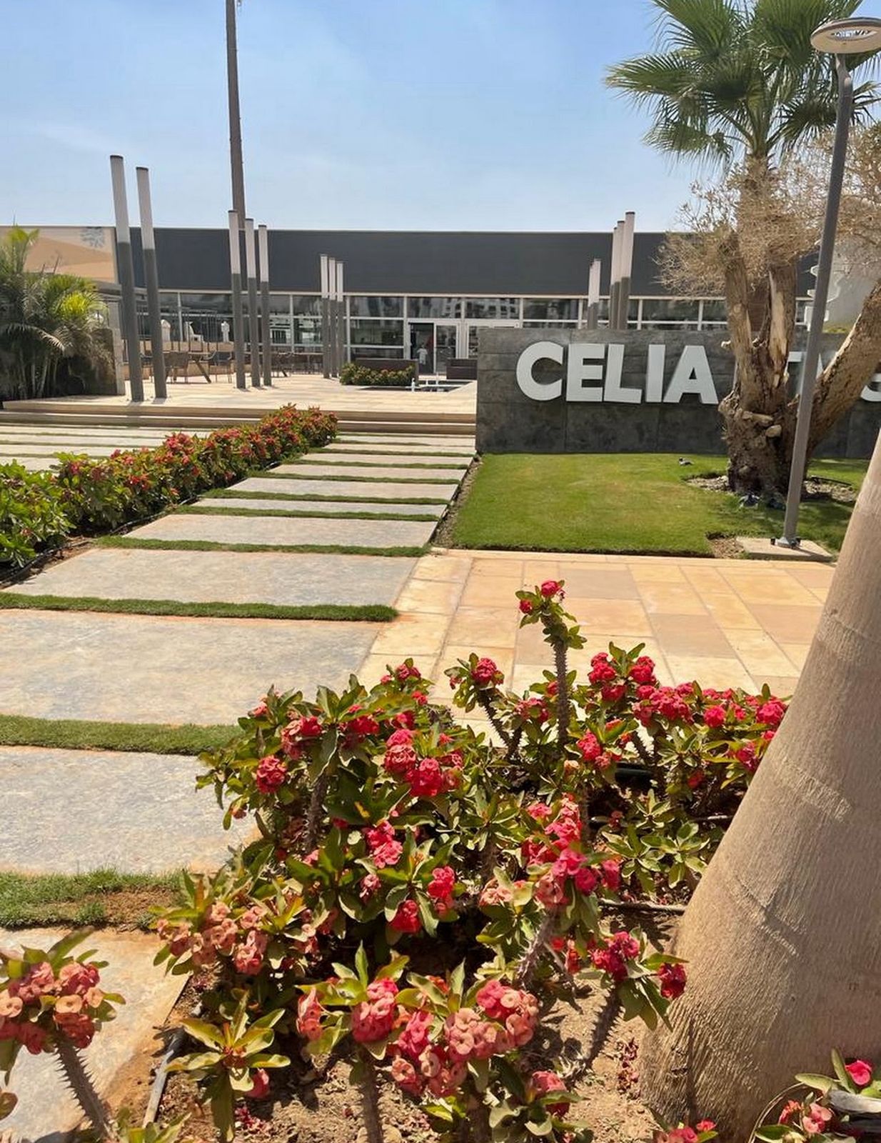 شقة | Forsa Property