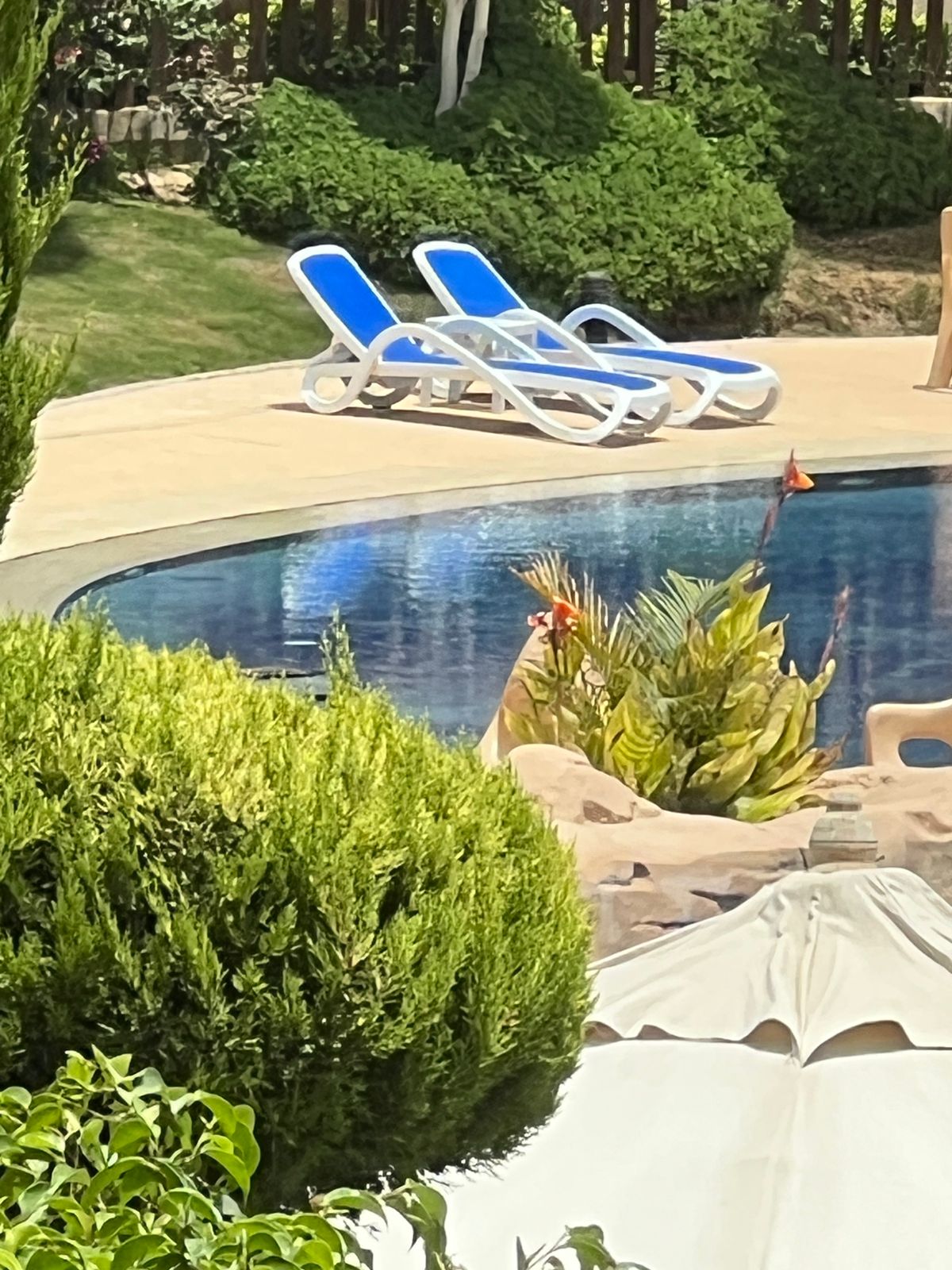 Apartment at Highland Park | Forsa Property