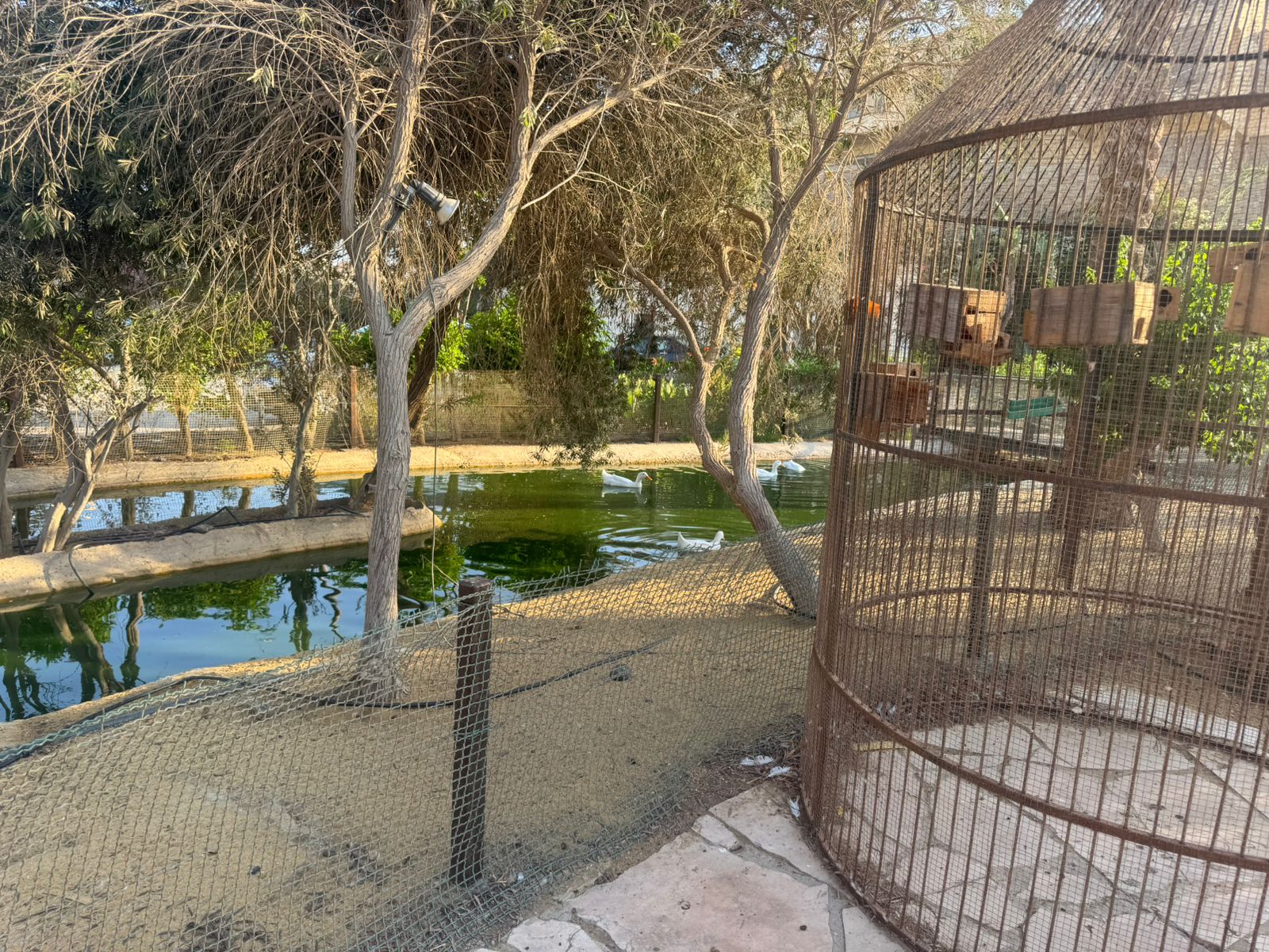 Chalet at Laguna Bay | Forsa Property