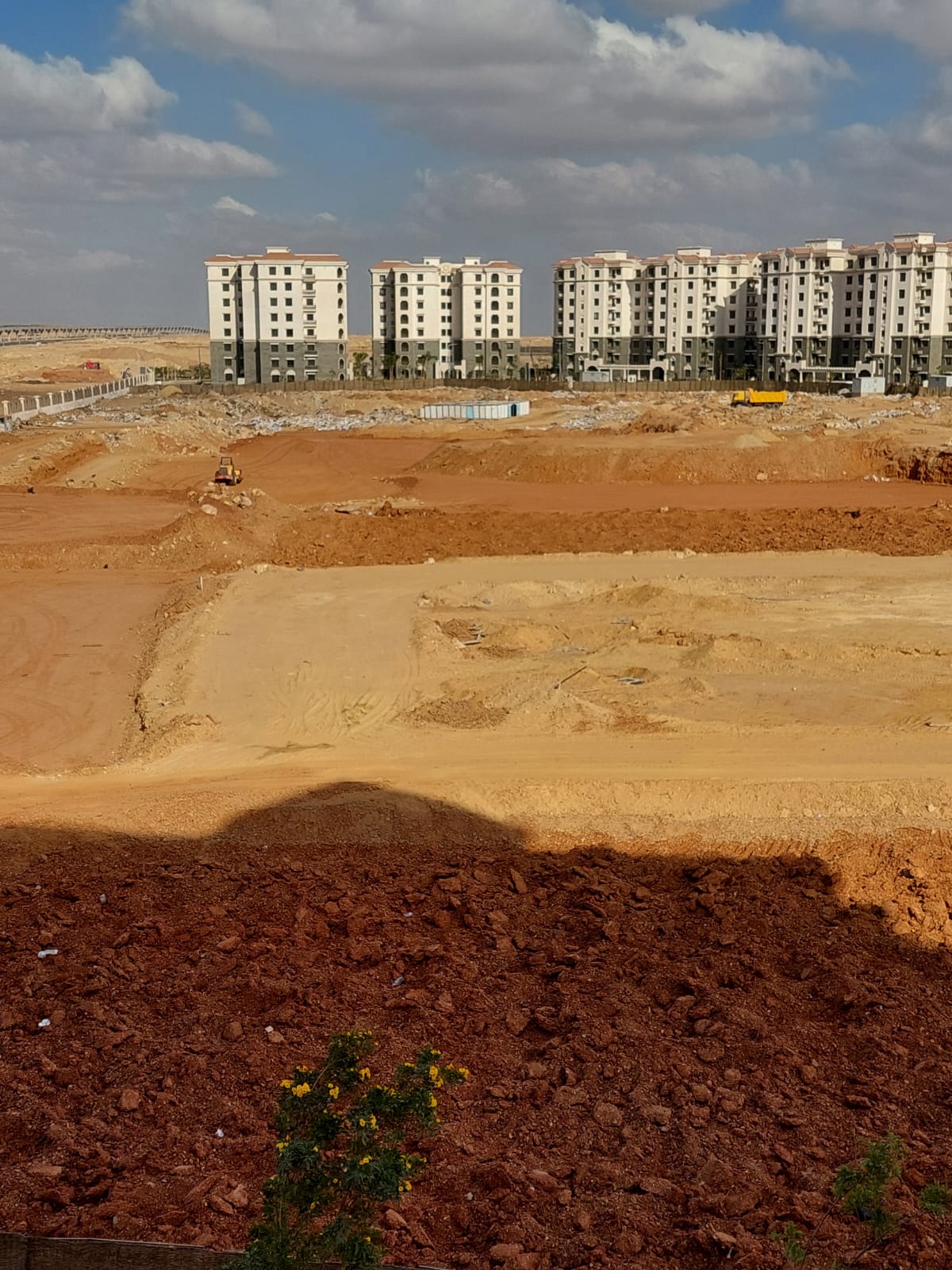 Apartment at Celia | Forsa Property