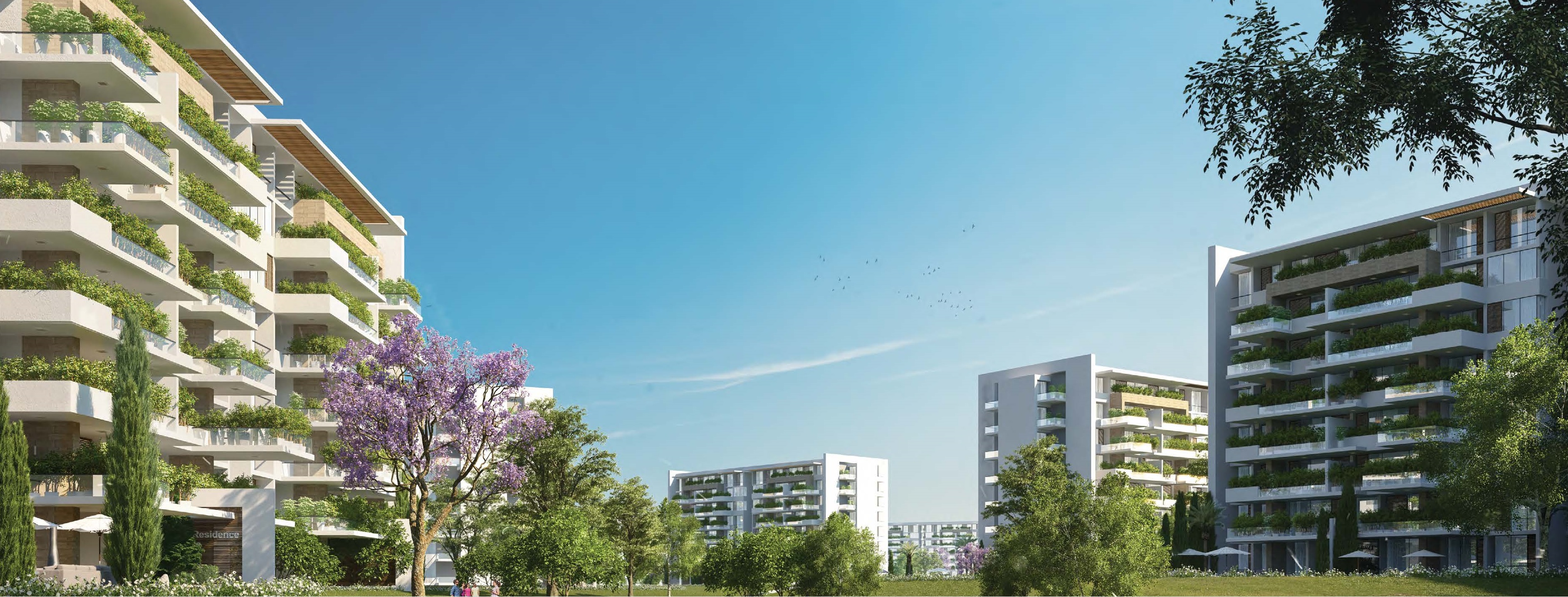 Apartment | Forsa Property