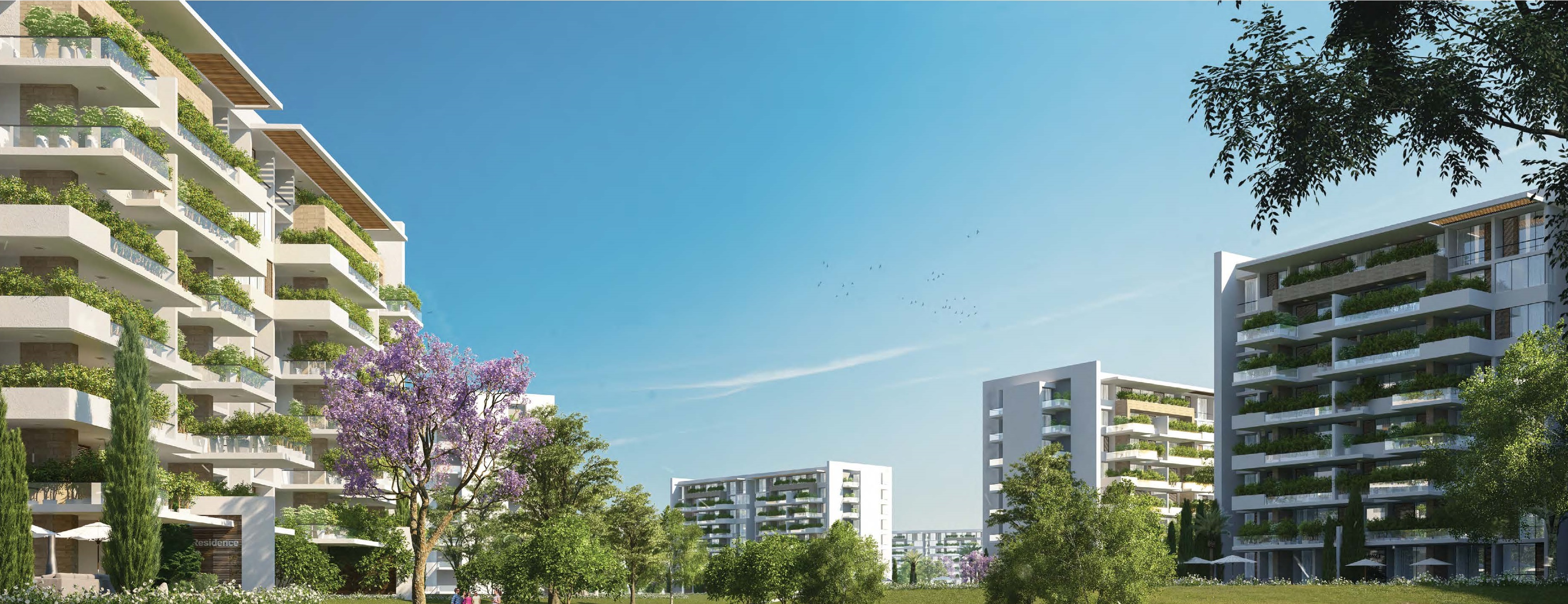 Apartment | Forsa Property