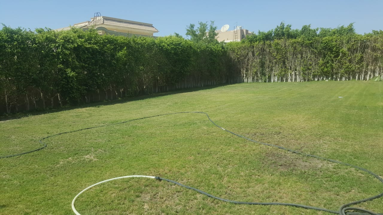 Villa at El Safwa | Forsa Property