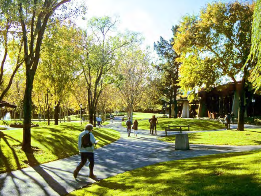 Apartment | Forsa Property