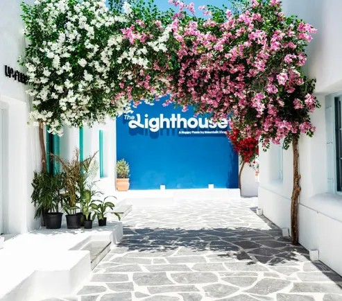 Chalet | Forsa Property