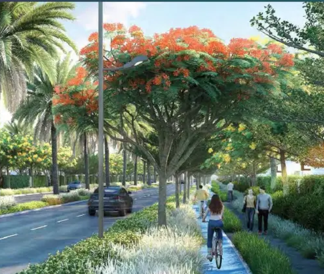 Apartment at Swanlake Residences | Forsa Property