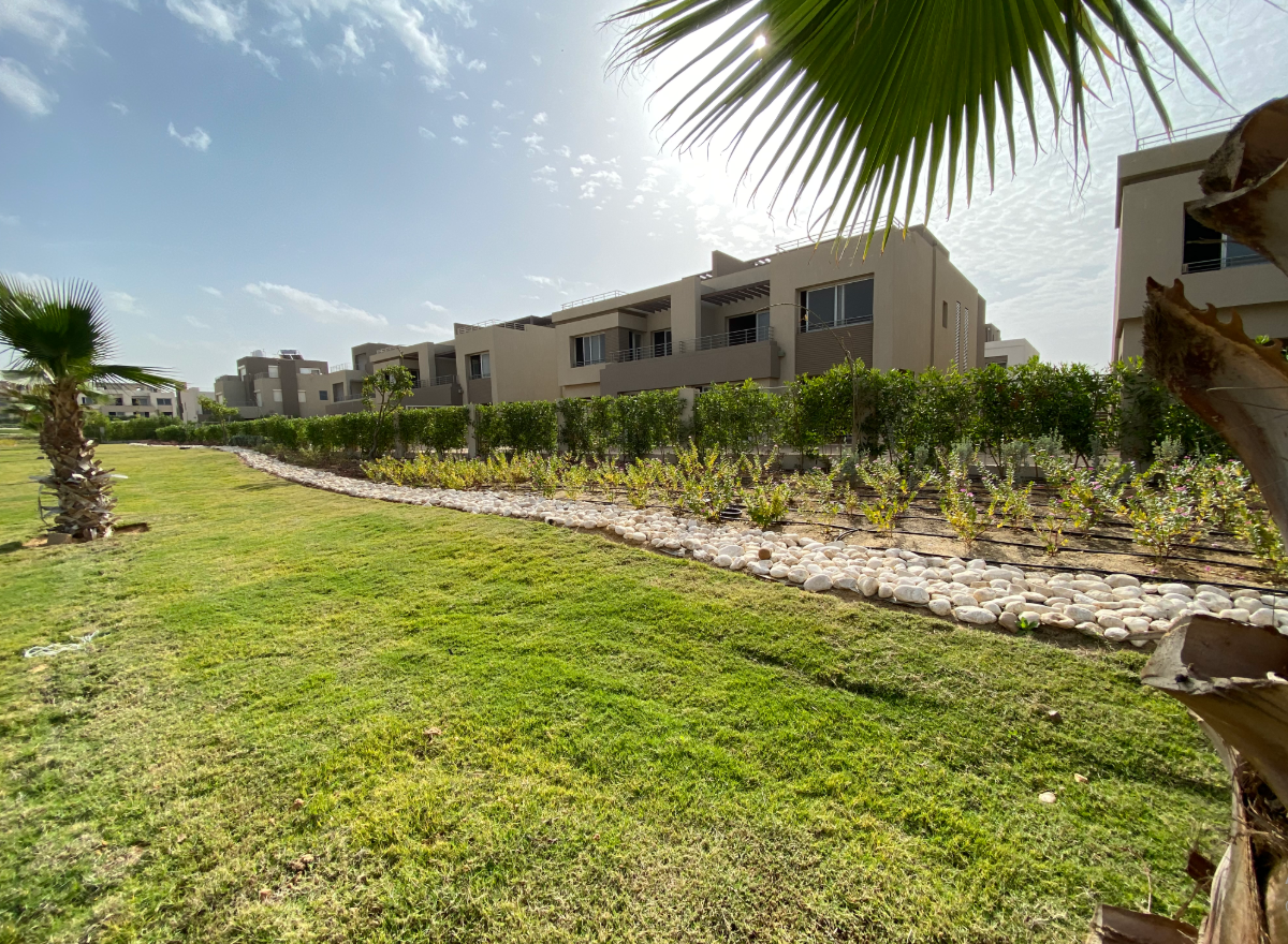 Twin House at Palm Valley | Forsa Property