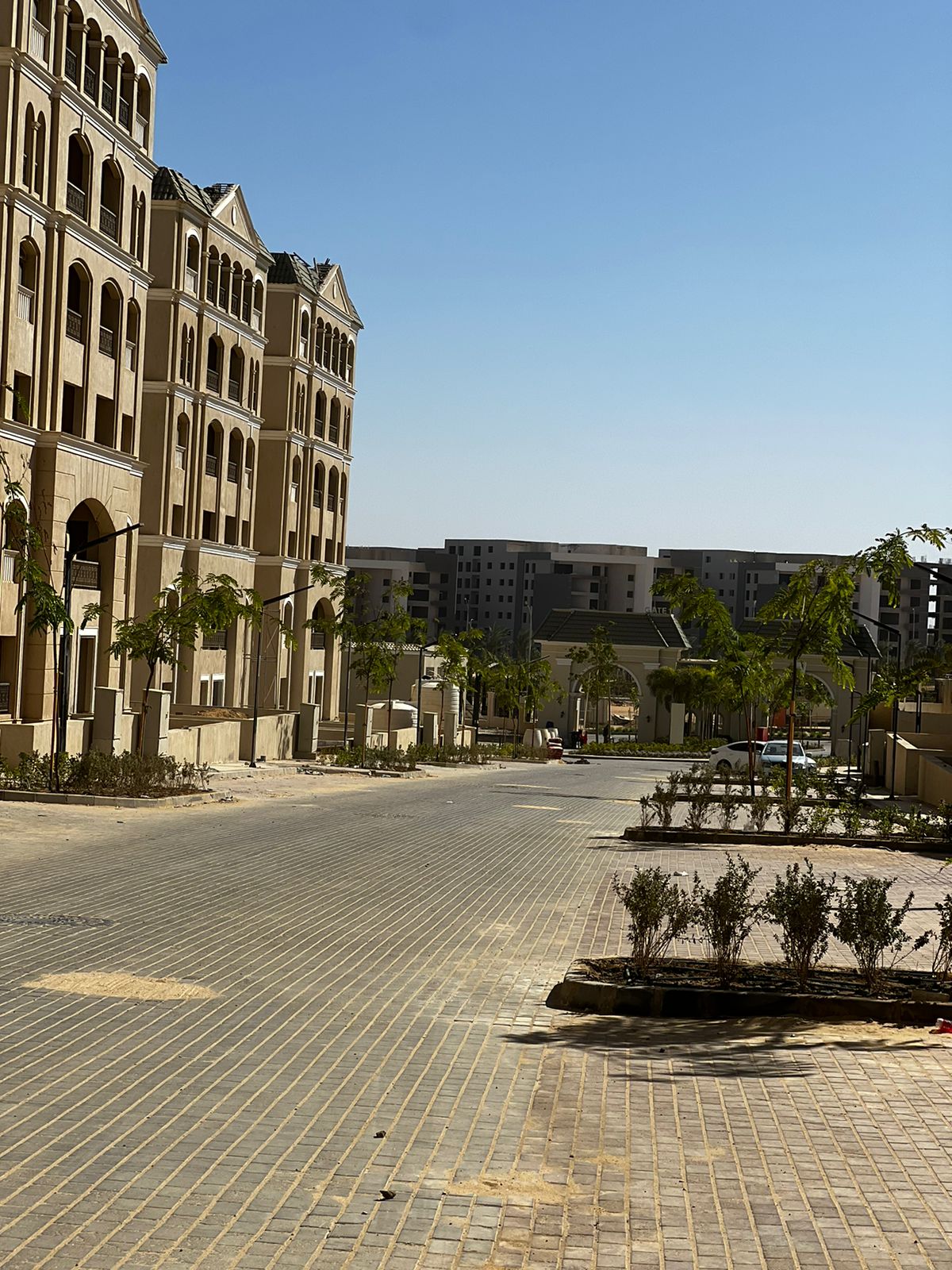 Apartment | Forsa Property