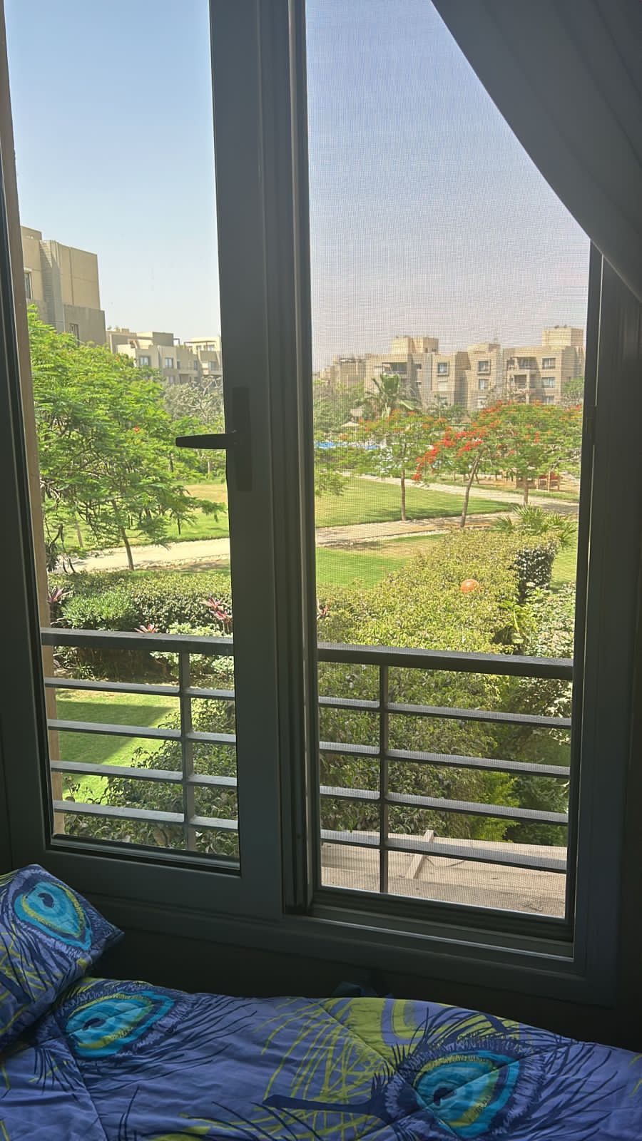 Apartment | Forsa Property